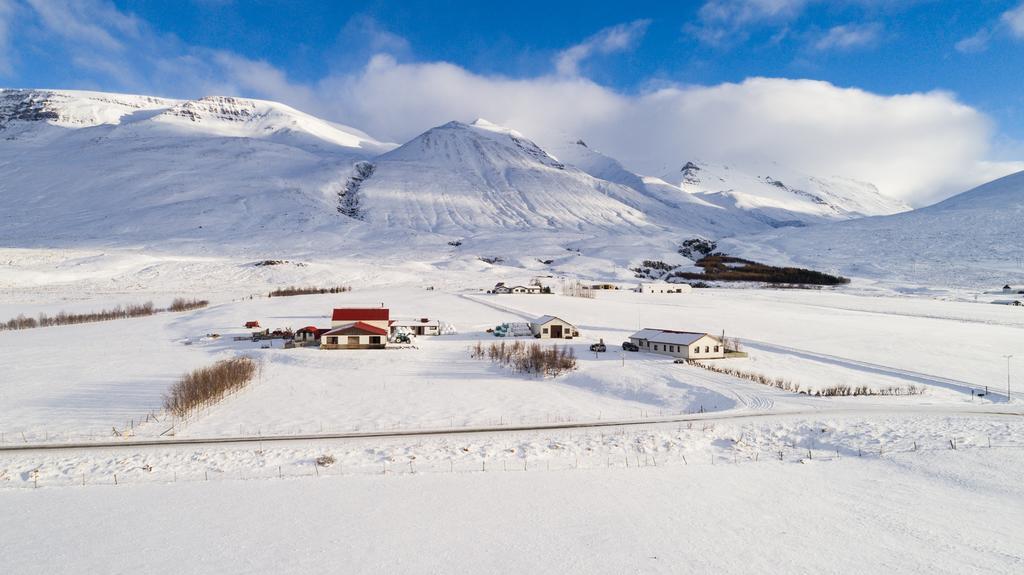 Guesthouse Baegisa Akureyri Exteriér fotografie